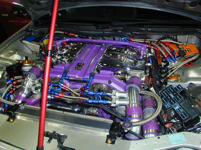 P1010065