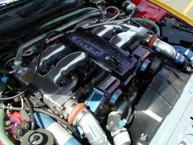 P1010104